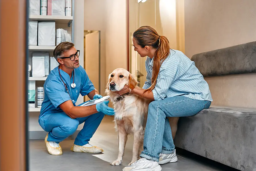 Veterinarian speaking with a pet owner during a dog exam — representing the trust and reassurance pet owners look for when choosing veterinary care.